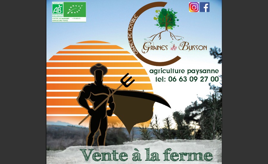 Marché paysan - Graines de Buisson_Plats