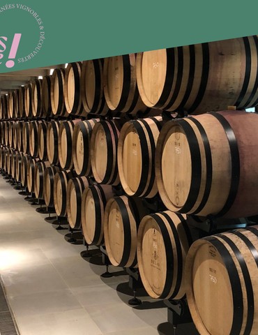 Dégustation "accord mets & vins" - Delas frères