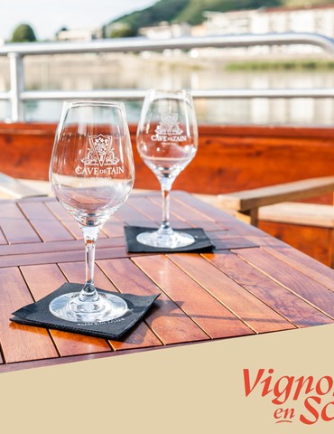 Croisière Gourmande : Vins & Fromages au Fil du Rhône - Terre de Syrah