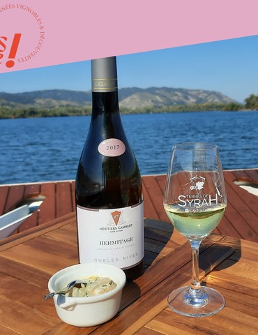 Croisière Gourmande : Vins & Fromages au Fil du Rhône - Terre de Syrah