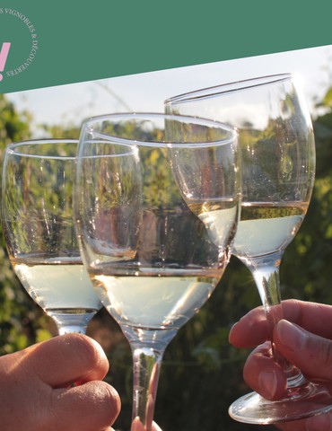Visite et dégustation - Cave de Tain - Vignobles en scène