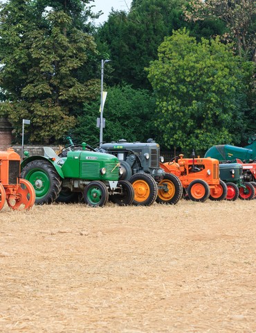 Grande fête de la Reboule à Arlebosc