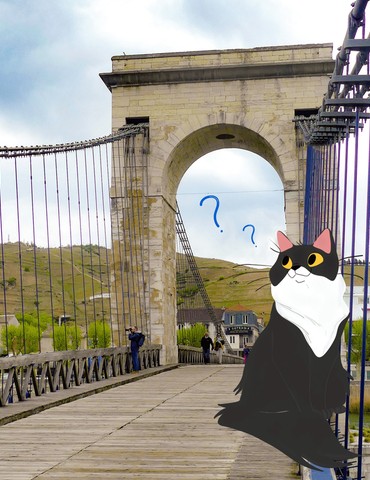 Chasse au trésor bicentenaire de la Passerelle Seguin- Pythagore le chat et l'inventeur disparu