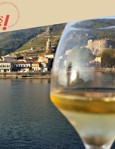 Visite guidée : " Au fil des cuvées" - Tournon sur Rhône