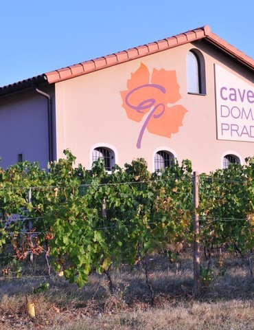 Apéro sunset dans les vignes - Cave Pradelle