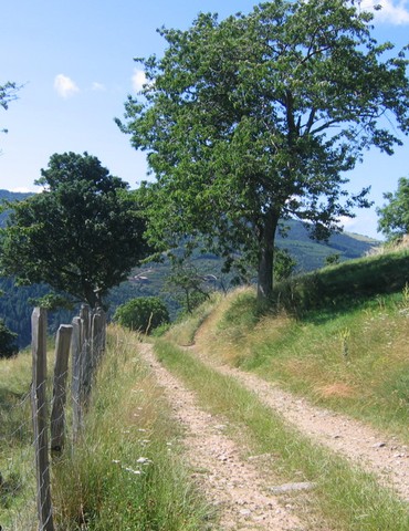Randonnée adultes et séniors et initiation à la marche dynamique - Elan nature
