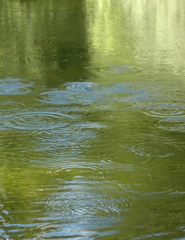 Découverte de l'eau sous tous ses aspects - Journées Européennes du Patrimoine