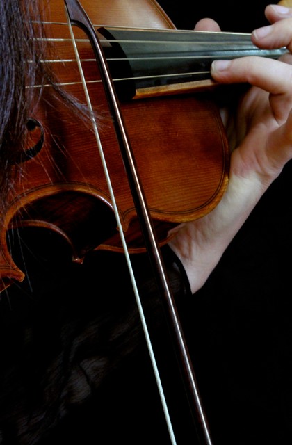 img-les-violons-au-temps-de-brillat-savarin-vochora