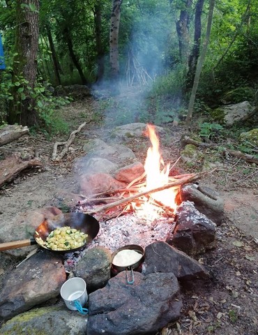 Stage de survie