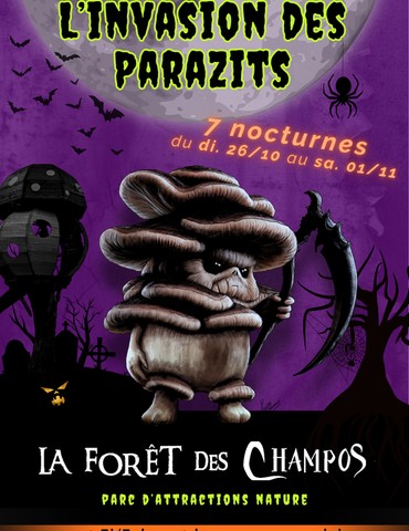 Nocturne sur la terrasse du restaurant - La fôret des Champos