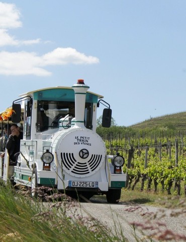 Petit train des vignes - Portes ouvertes de la Cave de Tain