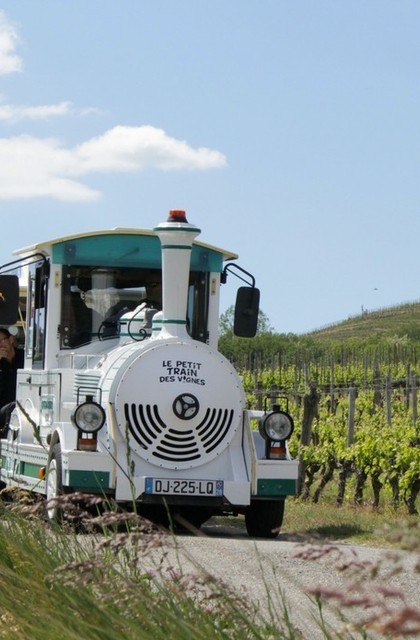 img-petit-train-des-vignes-portes-ouvertes-de-la-cave-de-tain
