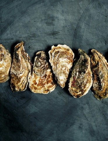 Du vin, des huîtres et des copains !