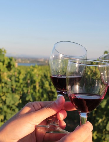 Melody X Soif d'apprendre