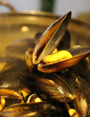 Matinée huitres et moules frites - Epique ou Rien
