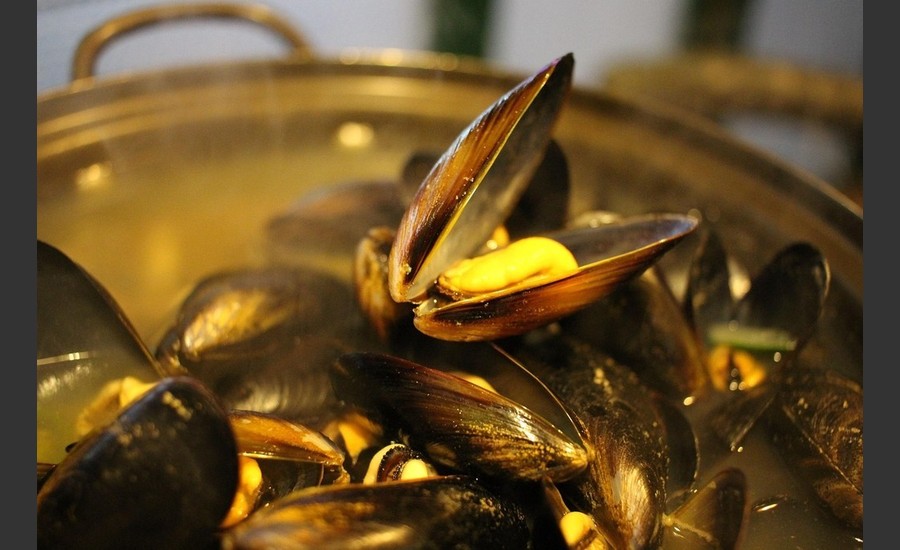Matinée huitres et moules frites - Epique ou Rien_Bren