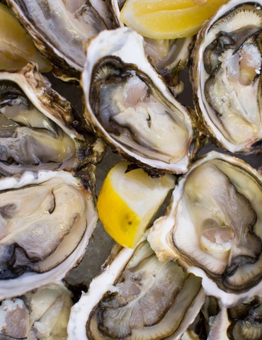 Dégustation d'huîtres - Destination Noël Tournon