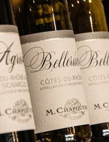 Atelier Découverte - Dégustation thématique de vins M. Chapoutier