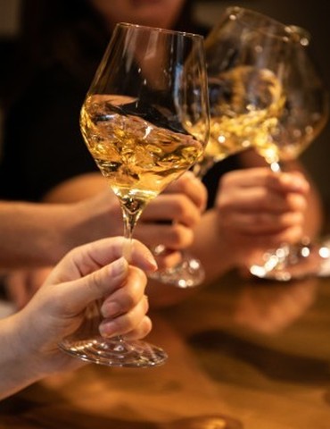 Atelier Découverte "Rhône Septentrional" - M.CHAPOUTIER