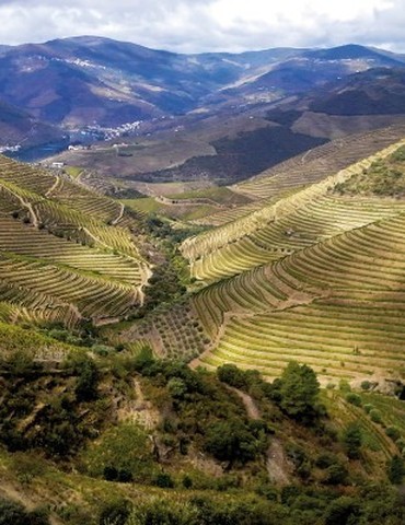 Atelier Découverte "  Espagne & Portugal   " - M.CHAPOUTIER