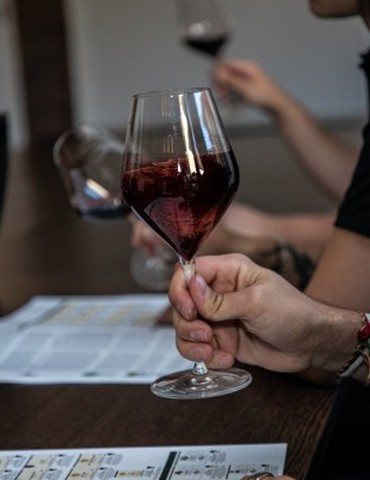 Atelier Découverte "  100% Crozes-Hermitage  " - M.CHAPOUTIER