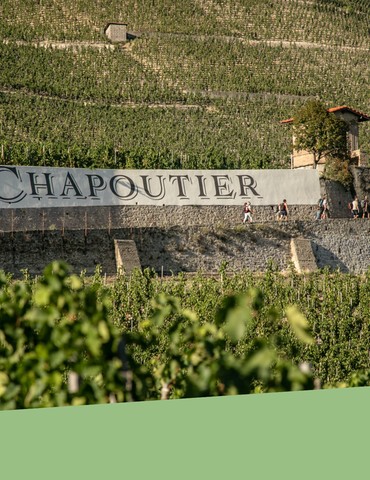 Atelier Découverte "  100% Crozes-Hermitage  " - M.CHAPOUTIER