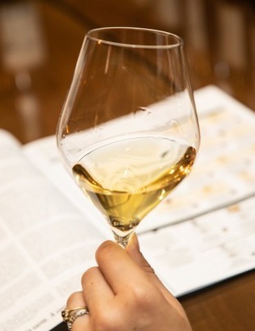 Atelier Découverte "  Initiation à la dégustation : les régions  " - M.CHAPOUTIER