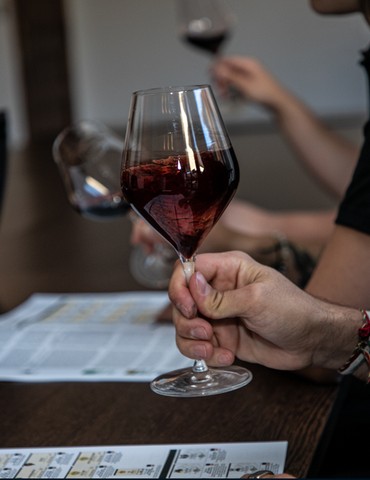 Atelier Découverte "  Initiation à la dégustation : les régions  " - M.CHAPOUTIER