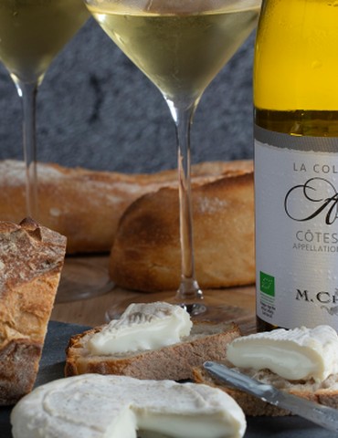 Atelier "Vin & fromage" - M.CHAPOUTIER