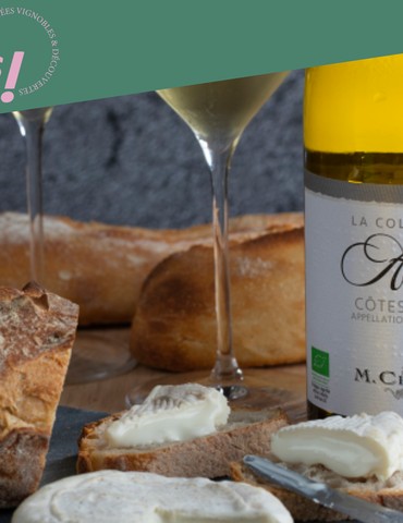 Atelier "Vin & fromage" - M.CHAPOUTIER