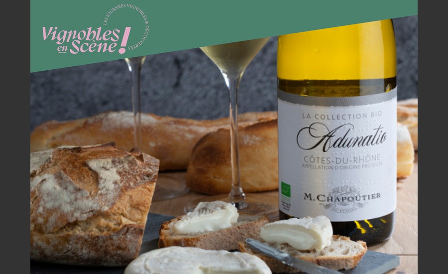 Atelier Vin et fromages avec la Maison M. CHAPOUTIER