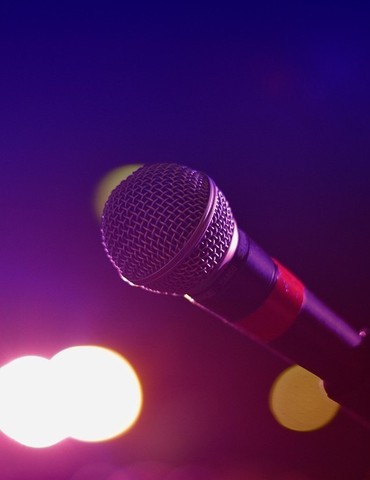 Repas Spectacle Dalida à La Terrine