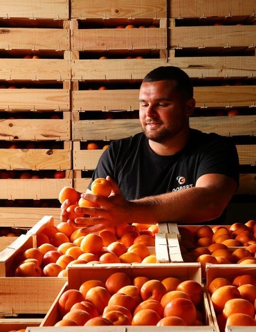 Visite de la Maison de l'Abricot : découvrez l'exploitation !