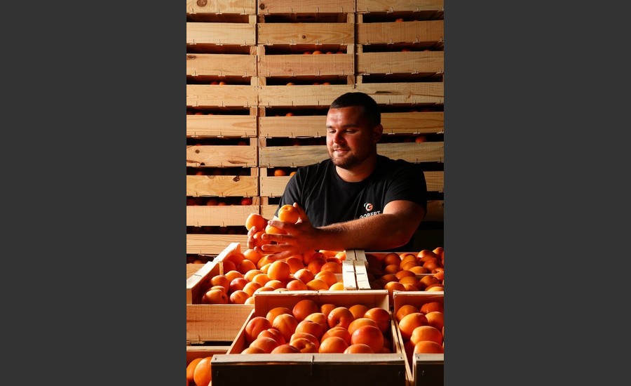 Visite de la Maison de l'Abricot : découvrez l'exploitation !_Chantemerle-les-Blés