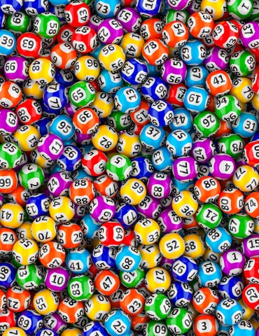 Loto - Tain l'Hermitage