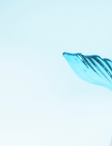 Les fées & rires présentent