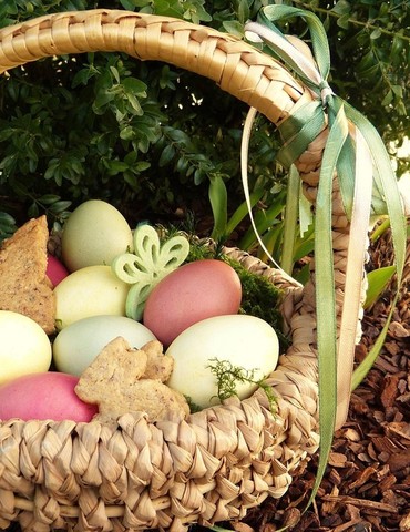 Chasse aux oeufs - La Roch de Glun