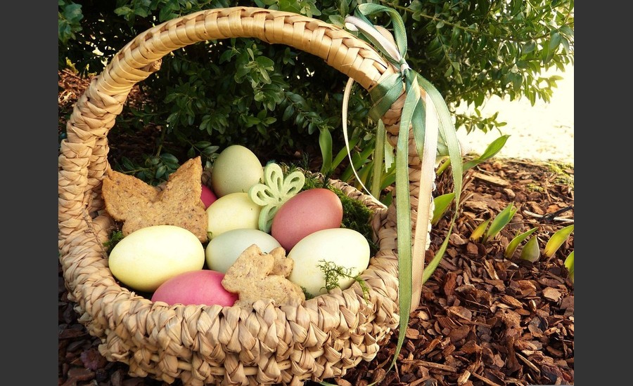 Chasse aux oeufs - La Roch de Glun_La Roche-de-Glun