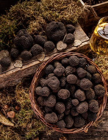 Dîner Vin & Truffe au Domaine Luyton Fleury