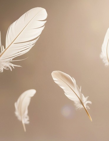 "Poulettes et compagnie" - Festival du Conte des Collines