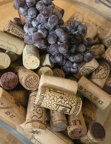 Salon des vins de France St Jean de Muzols