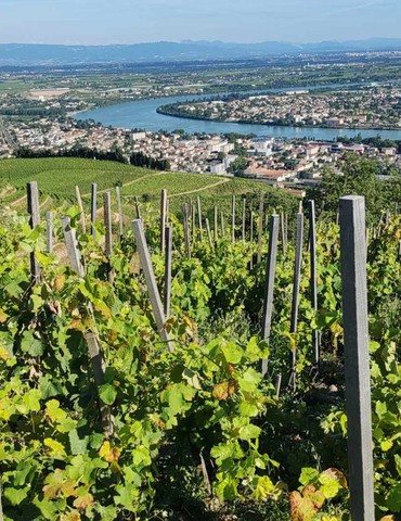 Escapade en Hermitage