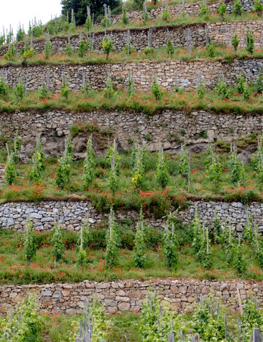 Escapade de villes en villages