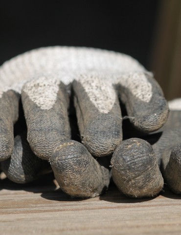 Matinée arrachage de Séneçon du Cap