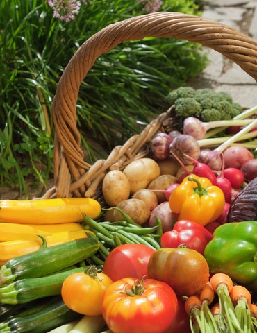 Sécurité sociale de l'alimentation