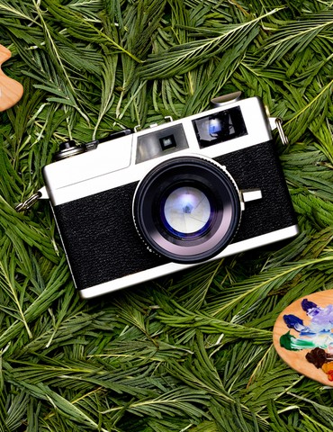 Exposition  peintures et photographies - Domaines des Arcandres