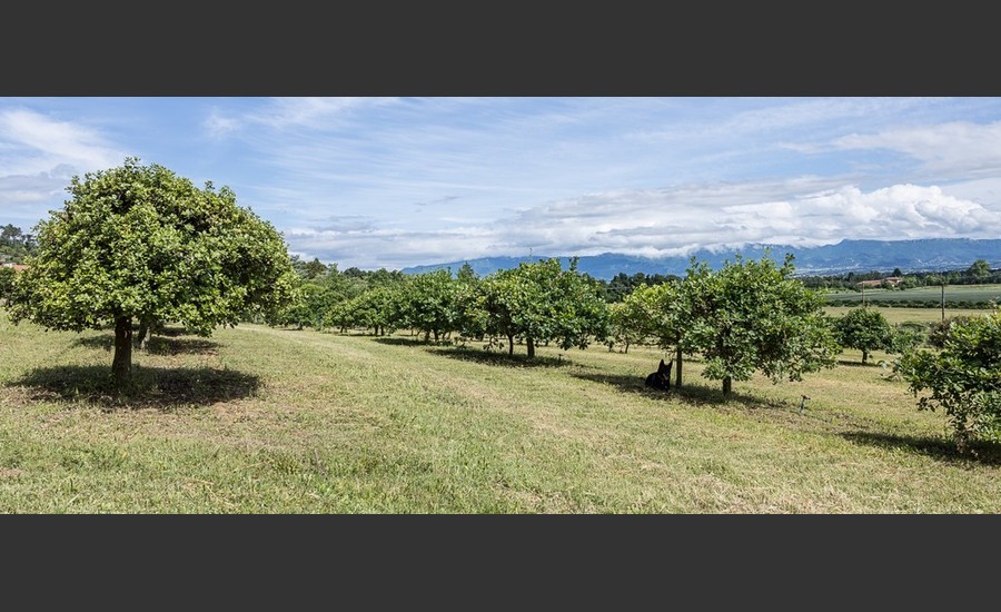 Panier pique-nique au milieu des chênes - La Baume Saint Antoine_Romans-sur-Isère