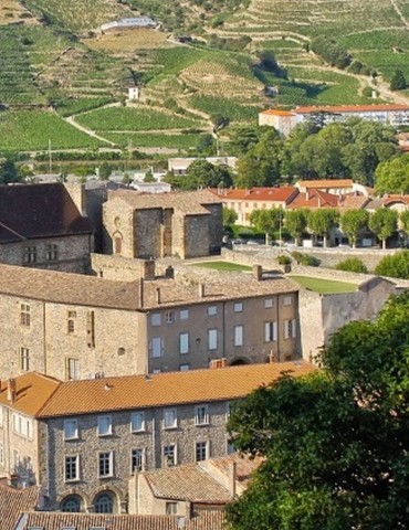 Conférence  "La famille de Tournon au chevet de la mort du Dauphin" - Tai