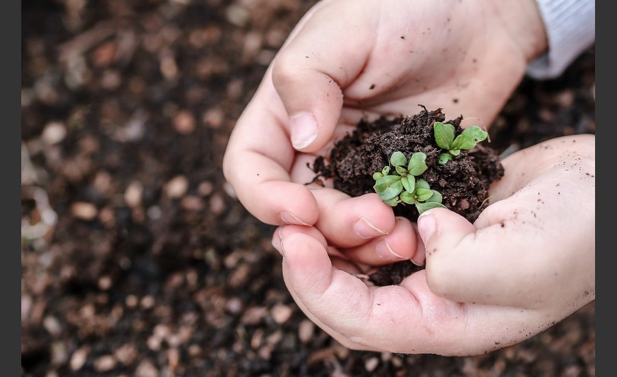 Troc de semences_Saint-Félicien