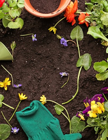 Foire aux plantes et brocante